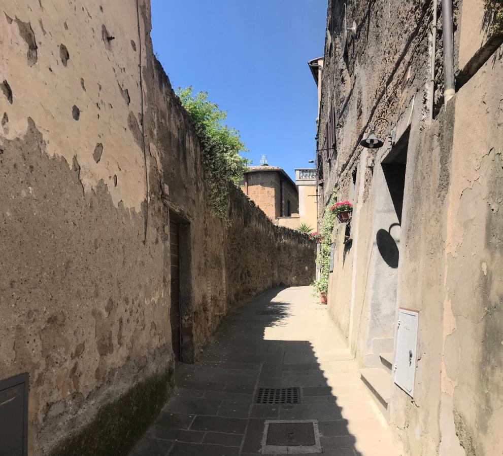 Bed and Breakfast La Torretta Orte Exterior foto